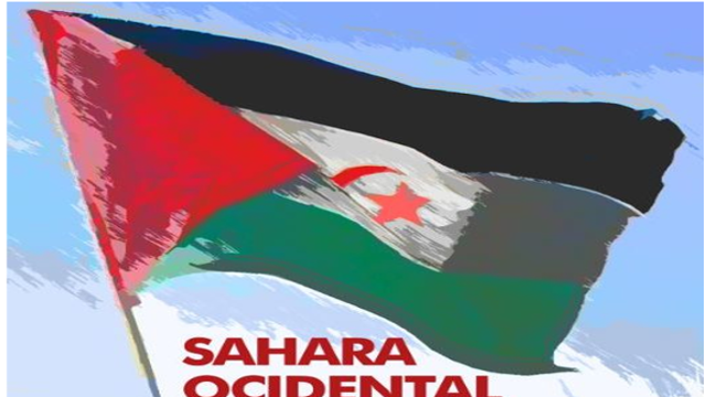 Conselho Nacional aprova Moção pela autodeterminação do povo saharaui!